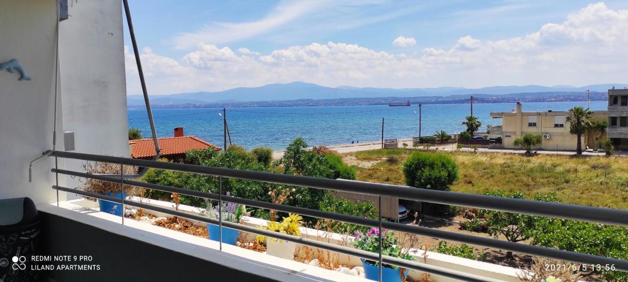 Liland Beachfront 레프카디 찰키다스 외부 사진